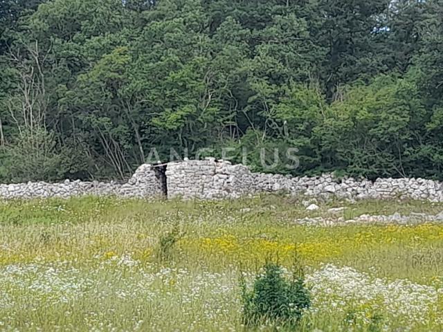 Istra, Rovinj - Više poljoprivrednih zemljišta
