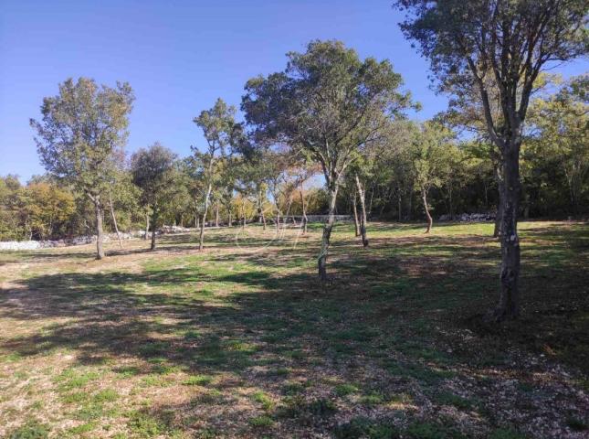 Land Rovinjsko Selo, Rovinj, 15.508m2