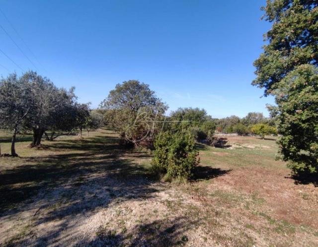 Land Rovinjsko Selo, Rovinj, 15.508m2