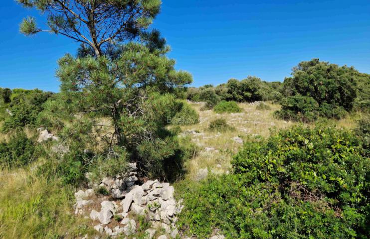 Prodaja, o. Vir, Gajine, građevinsko zemljište, 1. red do mora