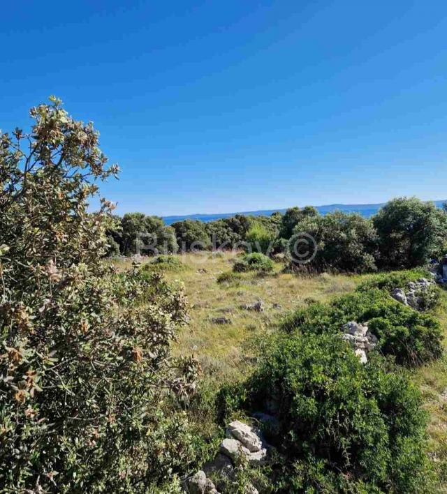 Prodaja, o. Vir, Gajine, građevinsko zemljište, 1. red do mora