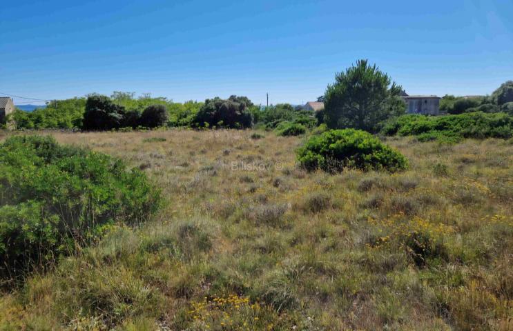 Prodaja, Vir, Torovi, građevinsko zemljište ukupne površine 1337 m²