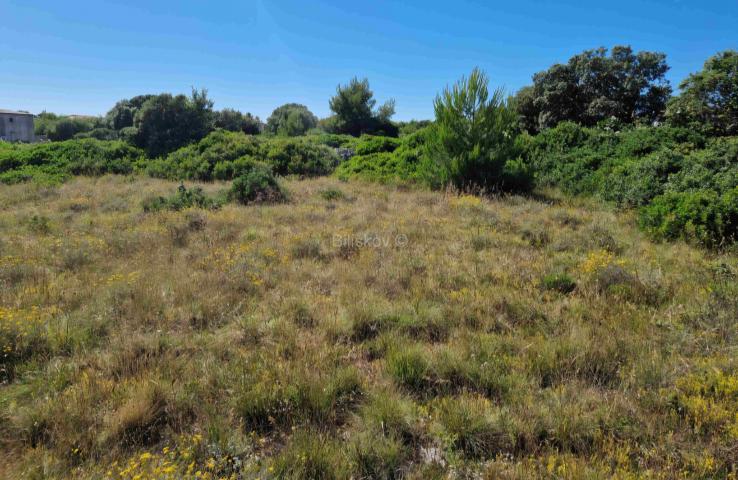 Prodaja, Vir, Torovi, građevinsko zemljište ukupne površine 1337 m²