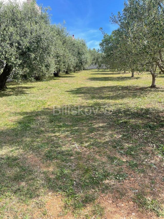 Prodaja, Biograd, građevinsko zemljište, top lokacija, blizina mora