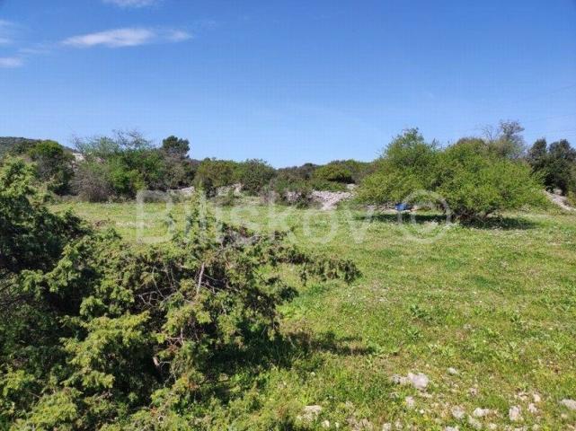 Brač, Selca poljoprivredno zemljište površine 11500 m2