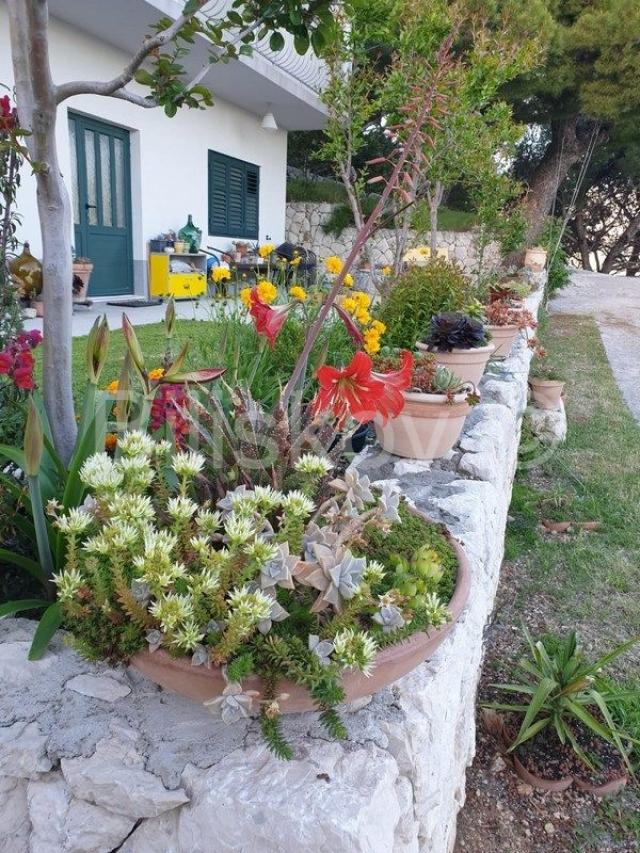 Marušići, apartmanska kuća 