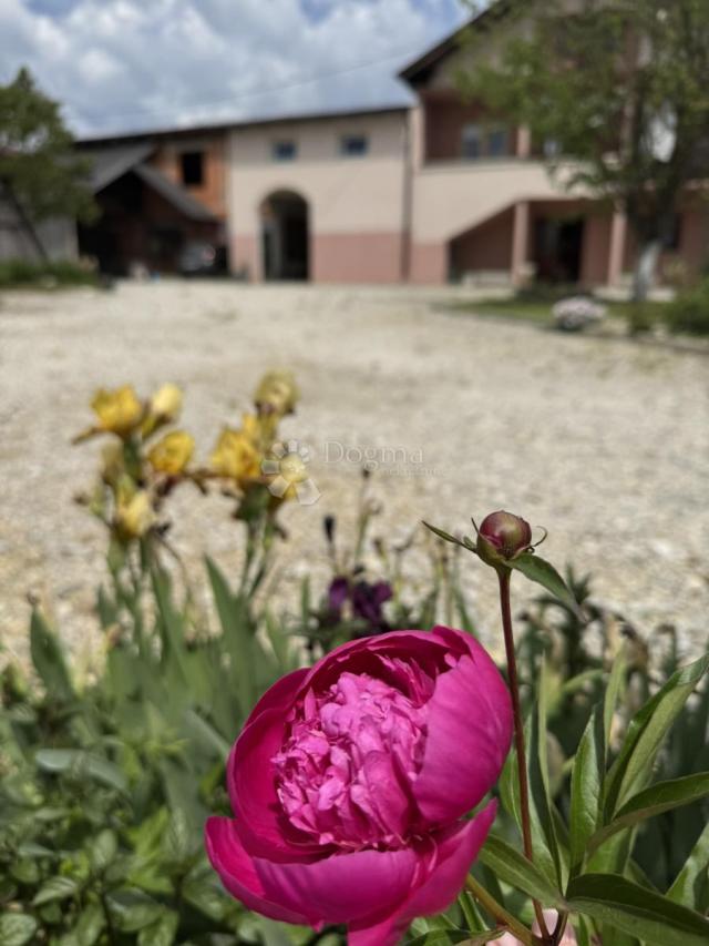 House Pogančec, Preseka, 263m2