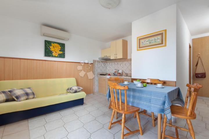 NOVIGRAD OKOLICA, KUĆA 100M OD MORA, POGLED MORE