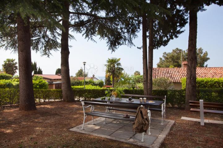 NOVIGRAD OKOLICA, KUĆA 100M OD MORA, POGLED MORE