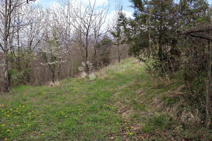 Senzacionalno zemljište od 115 000 m² u Istri