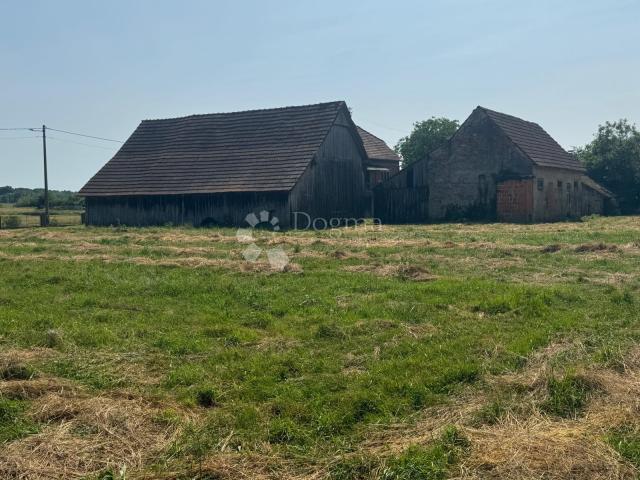 Veliko imanje 39.323 m² – mir, priroda i potencijal!