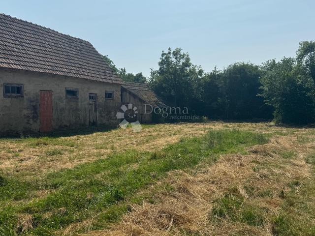 Veliko imanje 39.323 m² – mir, priroda i potencijal!