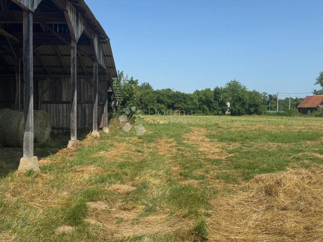 Veliko imanje 39.323 m² – mir, priroda i potencijal!