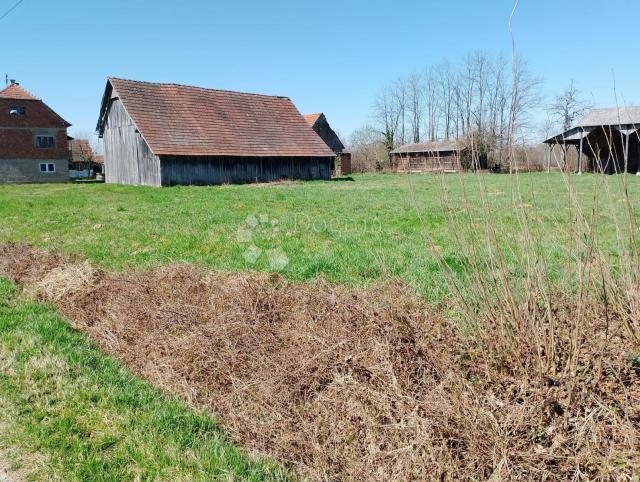 Veliko imanje 39.323 m² – mir, priroda i potencijal!