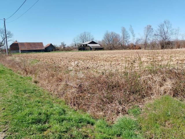 Veliko imanje 39.323 m² – mir, priroda i potencijal!