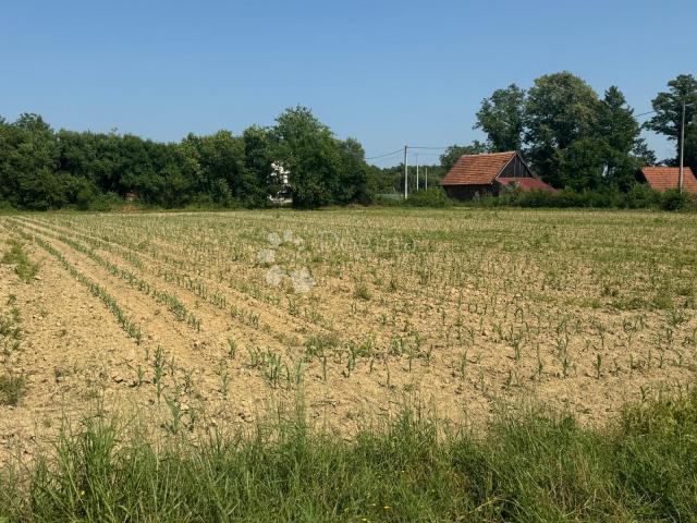 Veliko imanje 39.323 m² – mir, priroda i potencijal!