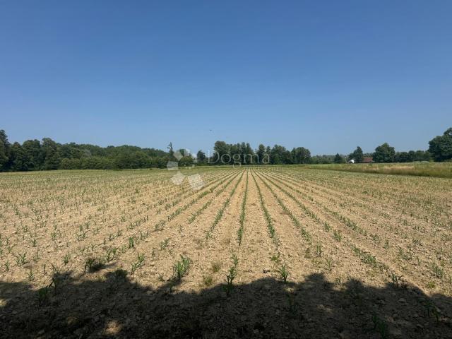 Veliko imanje 39.323 m² – mir, priroda i potencijal!