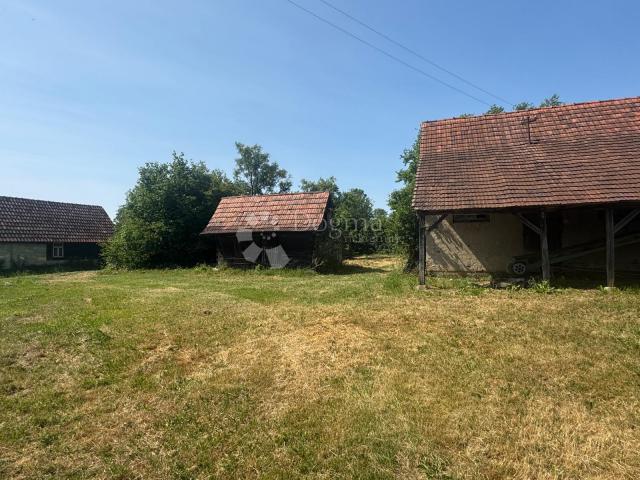 Veliko imanje 39.323 m² – mir, priroda i potencijal!