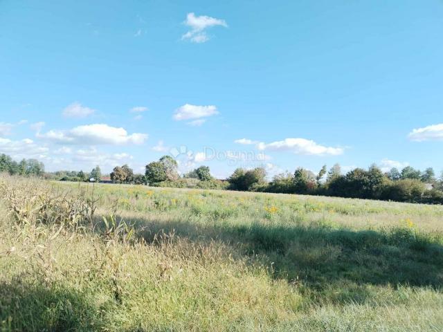 Veliko imanje 39.323 m² – mir, priroda i potencijal!