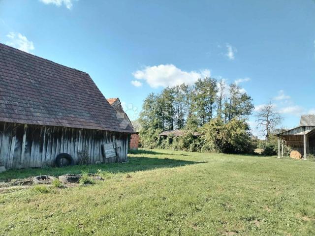 Veliko imanje 39.323 m² – mir, priroda i potencijal!