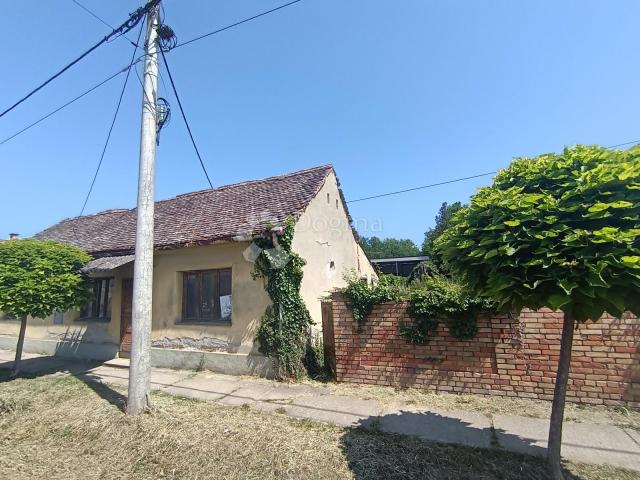 House Topolje, Draž, 130m2
