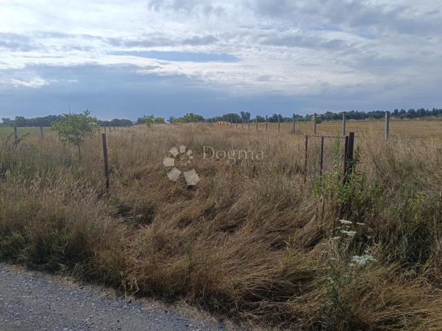 Veliki potencijal - zemljište 5122 m² pored Bilja