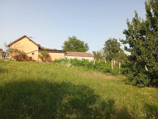 Odlična prilika: zemljište s vinovom lozom u građevinskoj zoni!