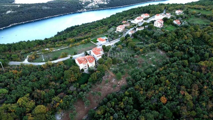 LABIN, okolica, , poljoprivredno zemljište (MASLINIK I ŠUMA) , graniči sa građevinskim, SAMO U NAŠOJ