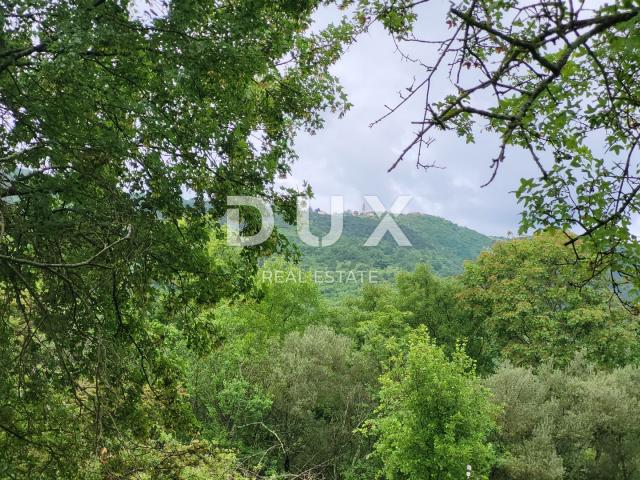 ISTRA, BUZET - Poljoprivredna zemljišta