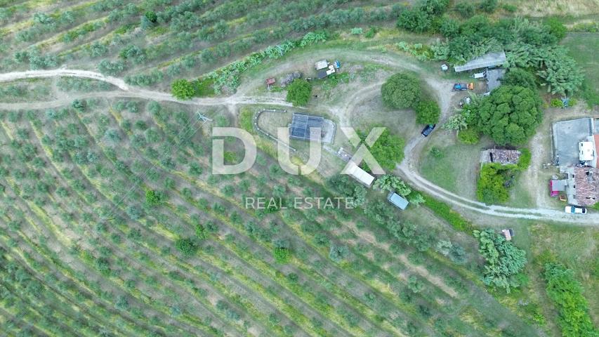 ISTRA, MOTOVUN - Bajkovita prilika za ulaganje u srce Istre, zemljište s kamenim objektom
