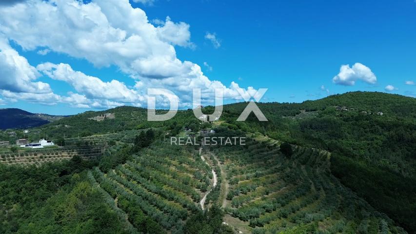ISTRA, MOTOVUN - Bajkovita prilika za ulaganje u srce Istre, zemljište s kamenim objektom