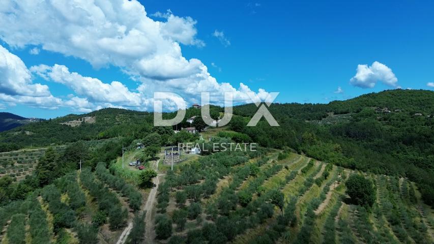 ISTRA, MOTOVUN - Bajkovita prilika za ulaganje u srce Istre, zemljište s kamenim objektom