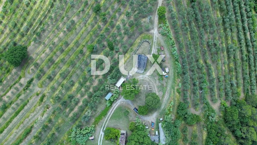 ISTRA, MOTOVUN - Bajkovita prilika za ulaganje u srce Istre, zemljište s kamenim objektom