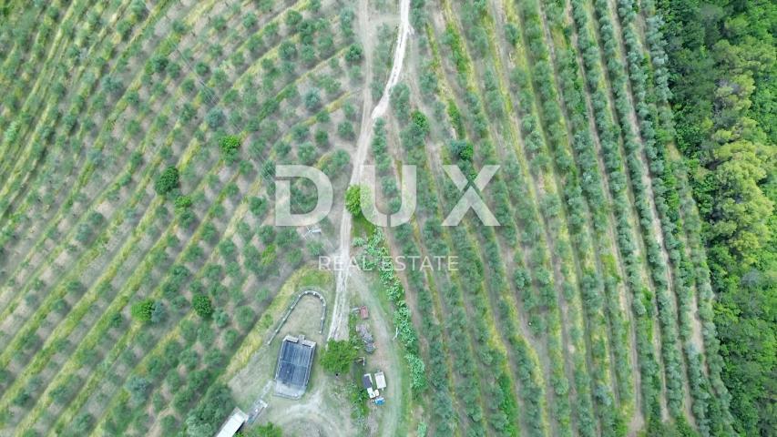 ISTRA, MOTOVUN - Bajkovita prilika za ulaganje u srce Istre, zemljište s kamenim objektom