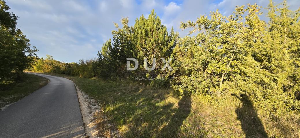 ISTRA, GRAČIŠĆE - Poljoprivredno zemljište s asfaltiranim prilazom
