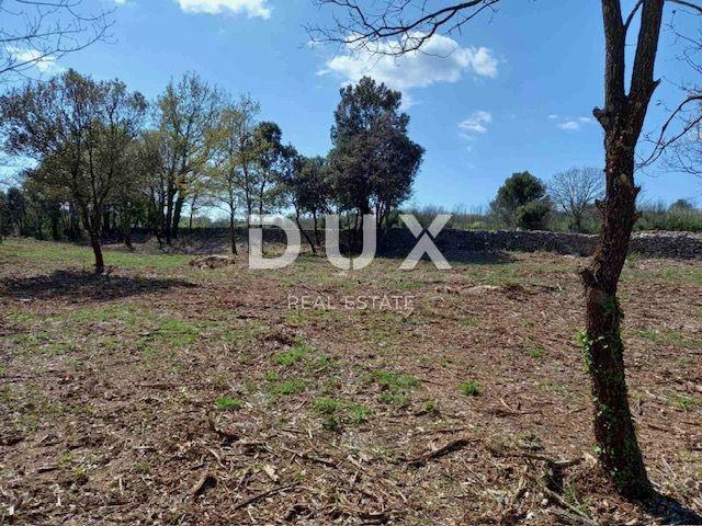 ISTRIA, RAKALJ - Landwirtschaftliche Grünfläche in bester Lage