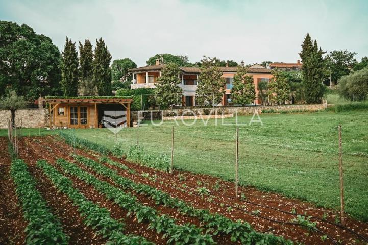 Istra, Šorići, luksuzna kamena kuća, 388 m², s bazenom i građevinskim zemljištem 4621 m²