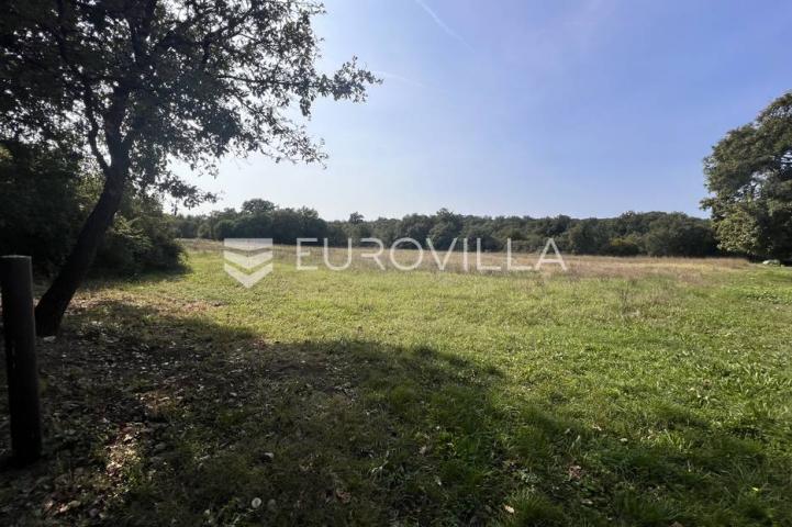 Marčana, Prodol, prostrana poljoprivredna parcela nedaleko od glavne prometnice 10054 m²