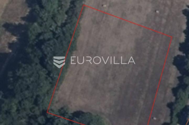 Marčana, Prodol, prostrana poljoprivredna parcela nedaleko od glavne prometnice 10054 m²