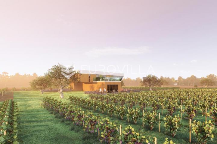 Istra, predivno zemljište 26.700 m² pogodno za vinograd sa vinskim podrumom