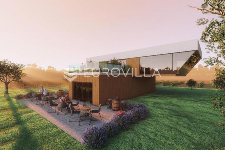 Istra, predivno zemljište 26.700 m² pogodno za vinograd sa vinskim podrumom