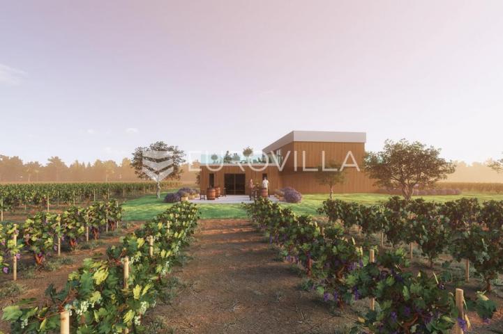 Istra, predivno zemljište 26.700 m² pogodno za vinograd sa vinskim podrumom