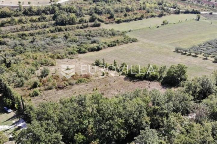 Istra, predivno zemljište 26.700 m² pogodno za vinograd sa vinskim podrumom