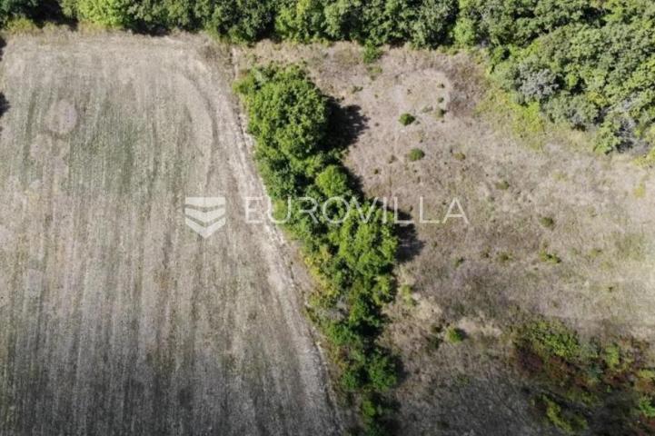 Istra, predivno zemljište 26.700 m² pogodno za vinograd sa vinskim podrumom