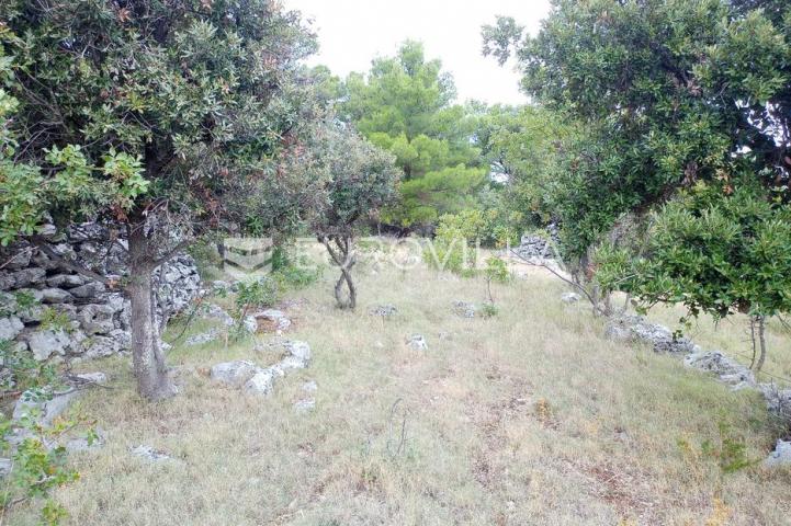 Brač, Donji Humac, zemljište površine 10984 m²