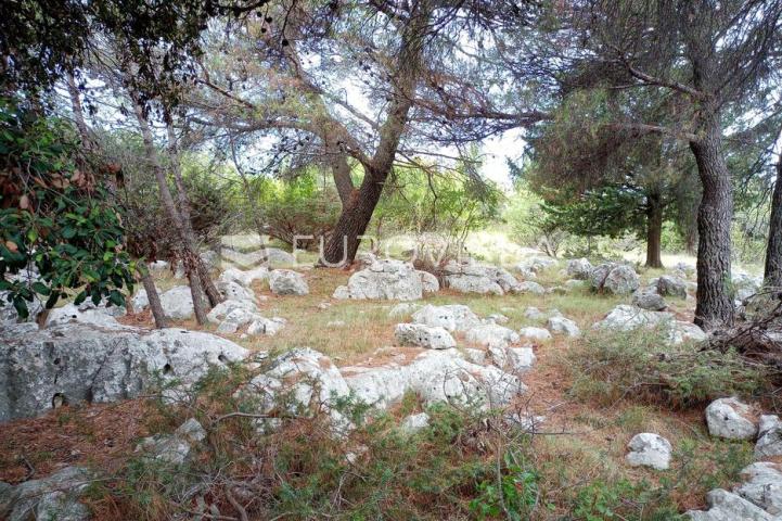 Brač, Donji Humac, zemljište površine 10984 m²