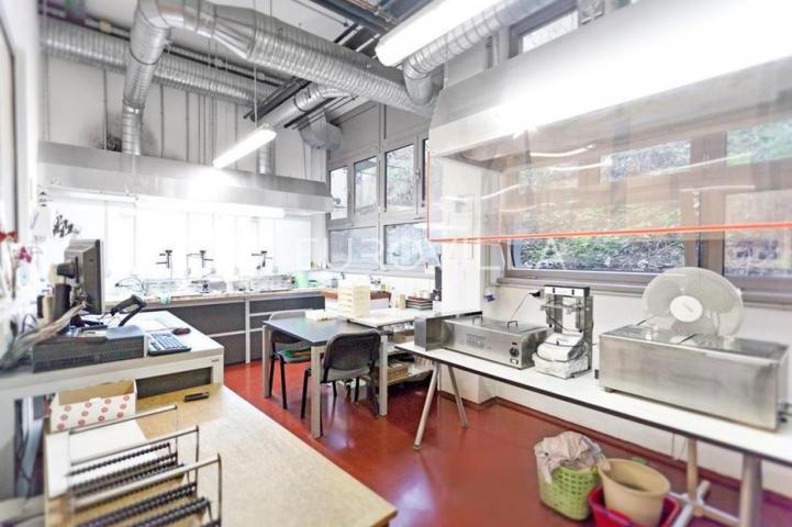 Samobor, Rude, proizvodna hala 5.400 m2, prodaja 