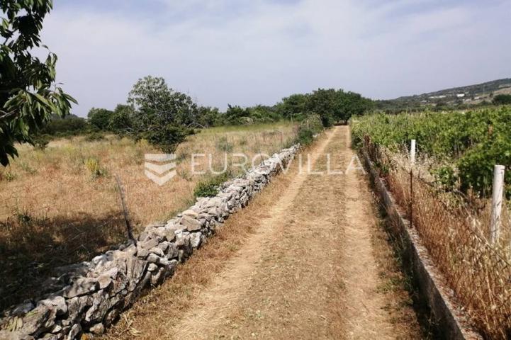 Brač, poljoprivredno zemljište u unutrašnjosti otoka (12 860 m2)