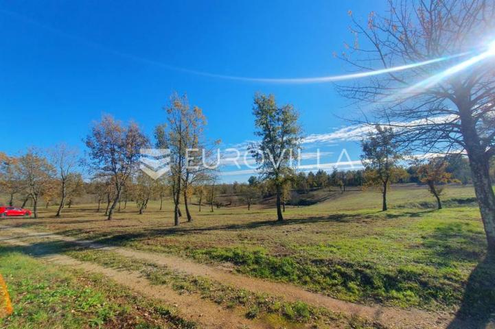Poreč, okolica - lijepo građevinsko zemljište NKP 862 m2 pravilnog oblika 