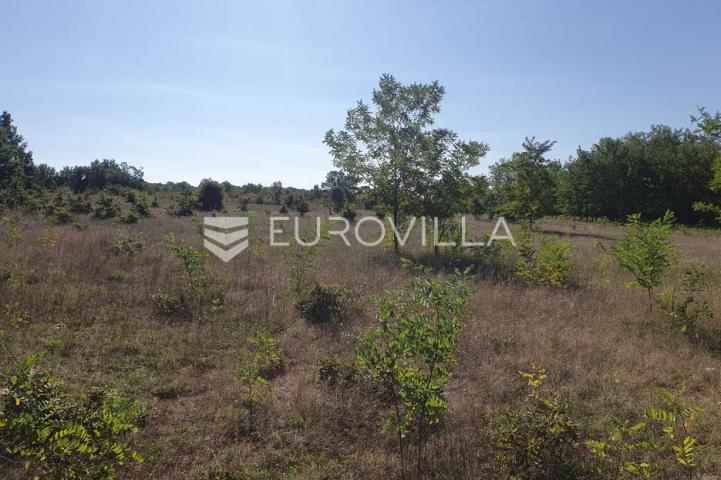 Istra, Baderna, poljoprivredno zemljište 12.120m2